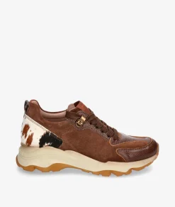 Deportivos Hispanitas ZHI254404 en marrón