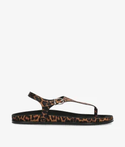 Sandalias CORINA M6419 en leopardo