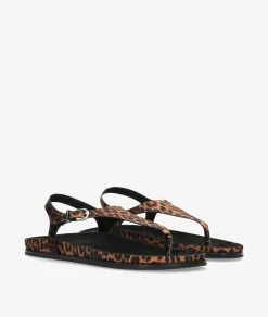 Sandalias CORINA M6419 en leopardo