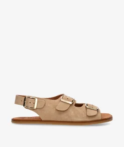 Sandalias VIVANT SEMILLA - R en serraje taupe