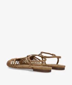 Zapatos de vestir CORINA M6396 en camel